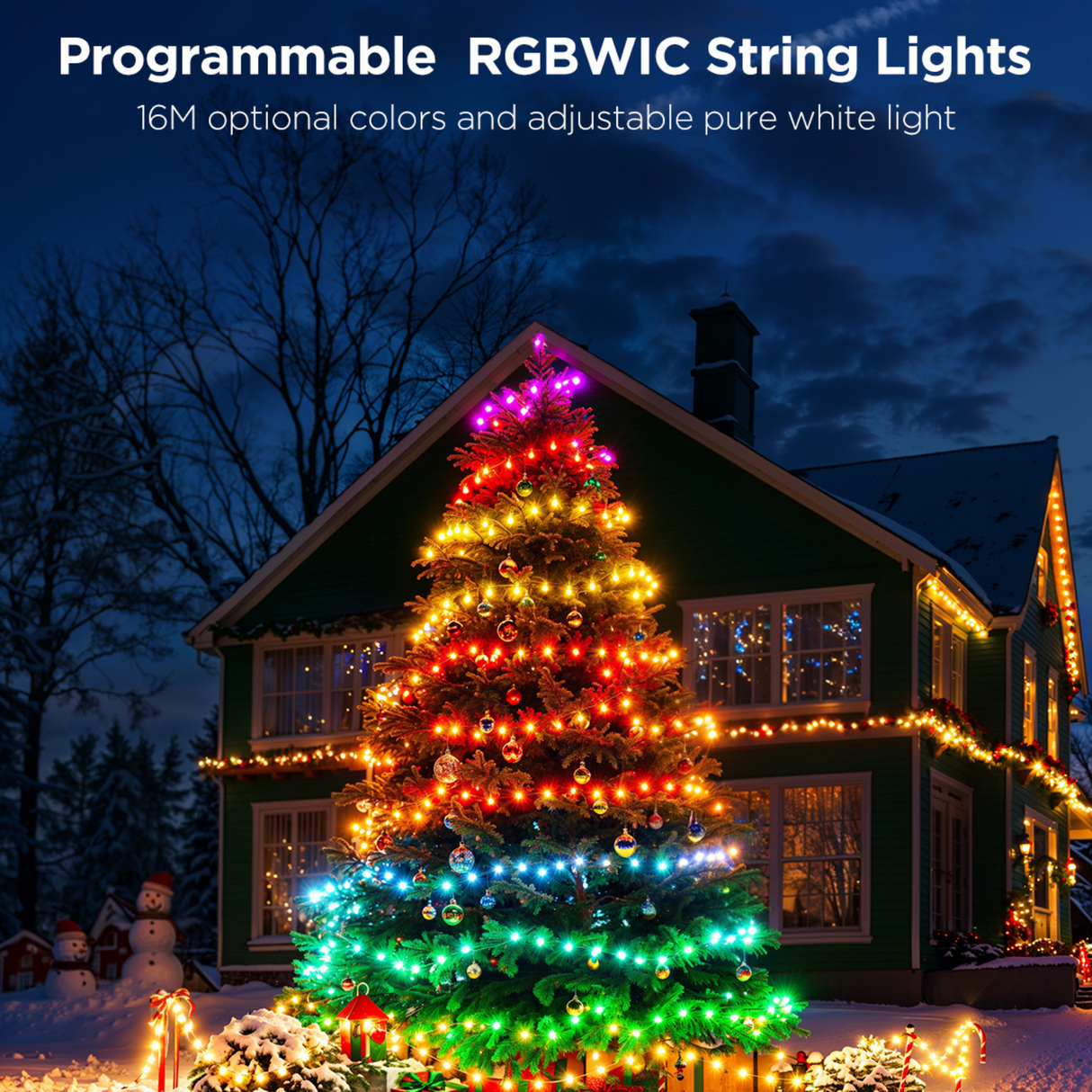 Govee String Lights 2S - 20M