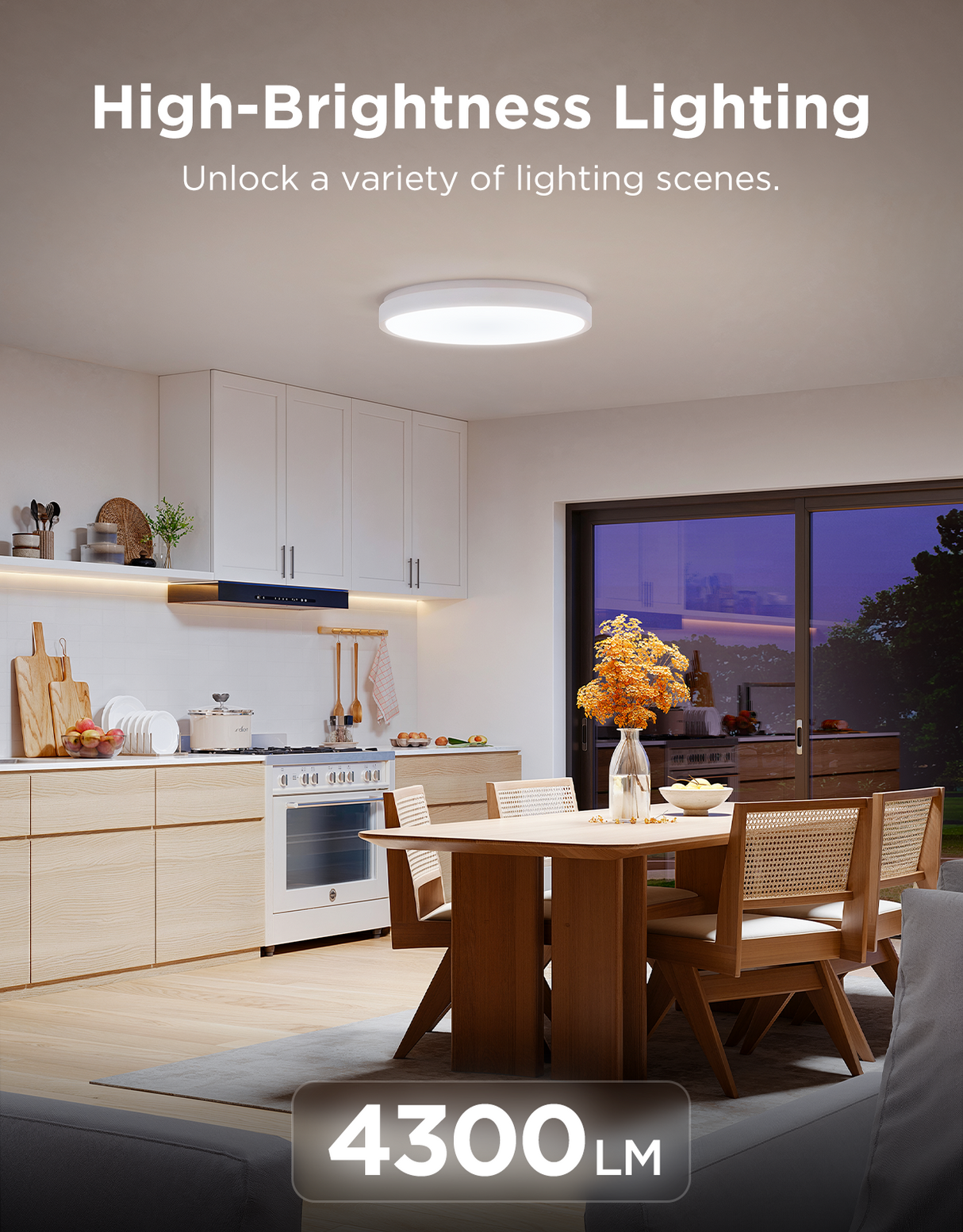 Govee 15-Inch RGBICWW Smart Ceiling Light Pro