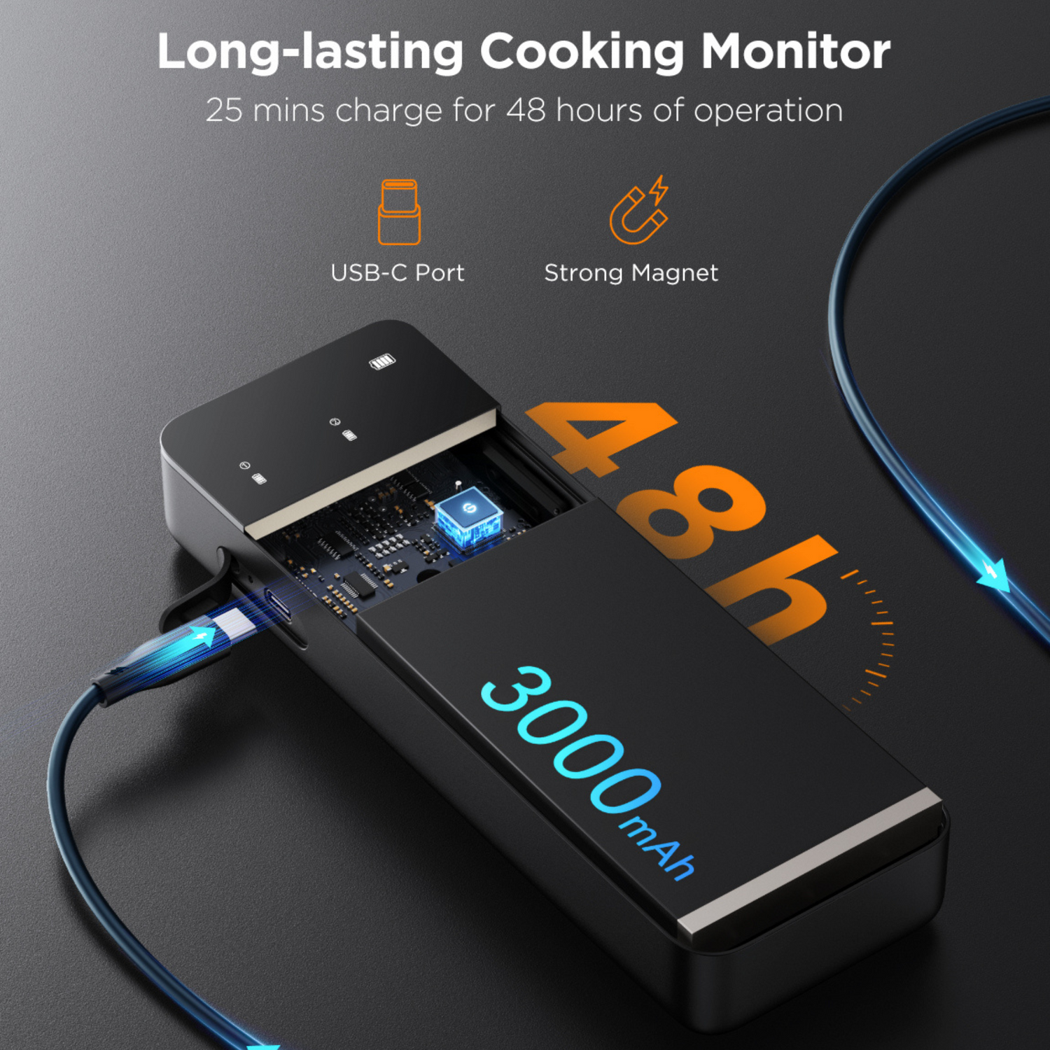 Govee Smart Wireless Meat Thermometer (2-Probe)