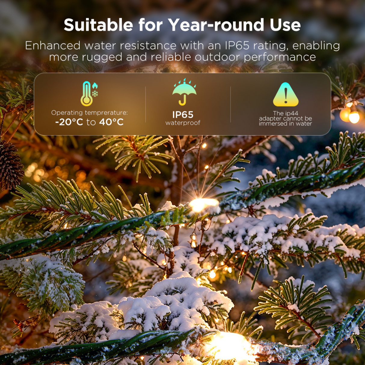 Govee String Lights 2S - 20M