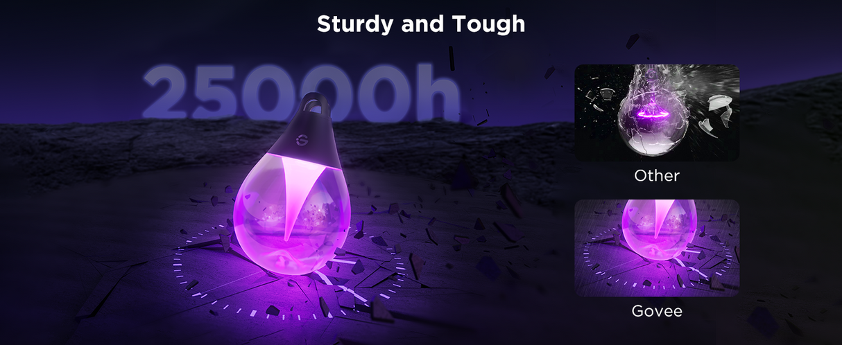 Govee RGBICW Outdoor String Lights