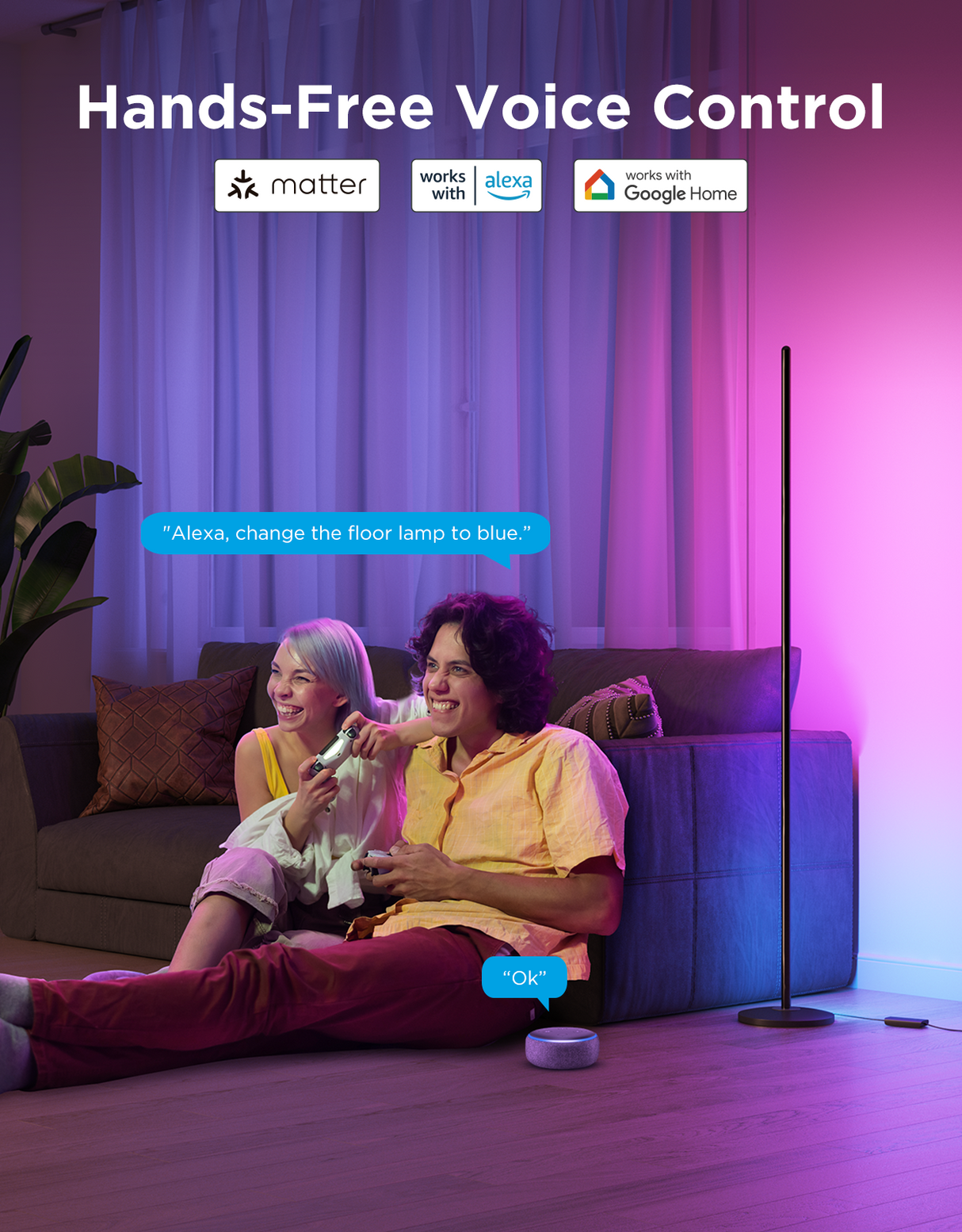 Govee Floor Lamp Lite