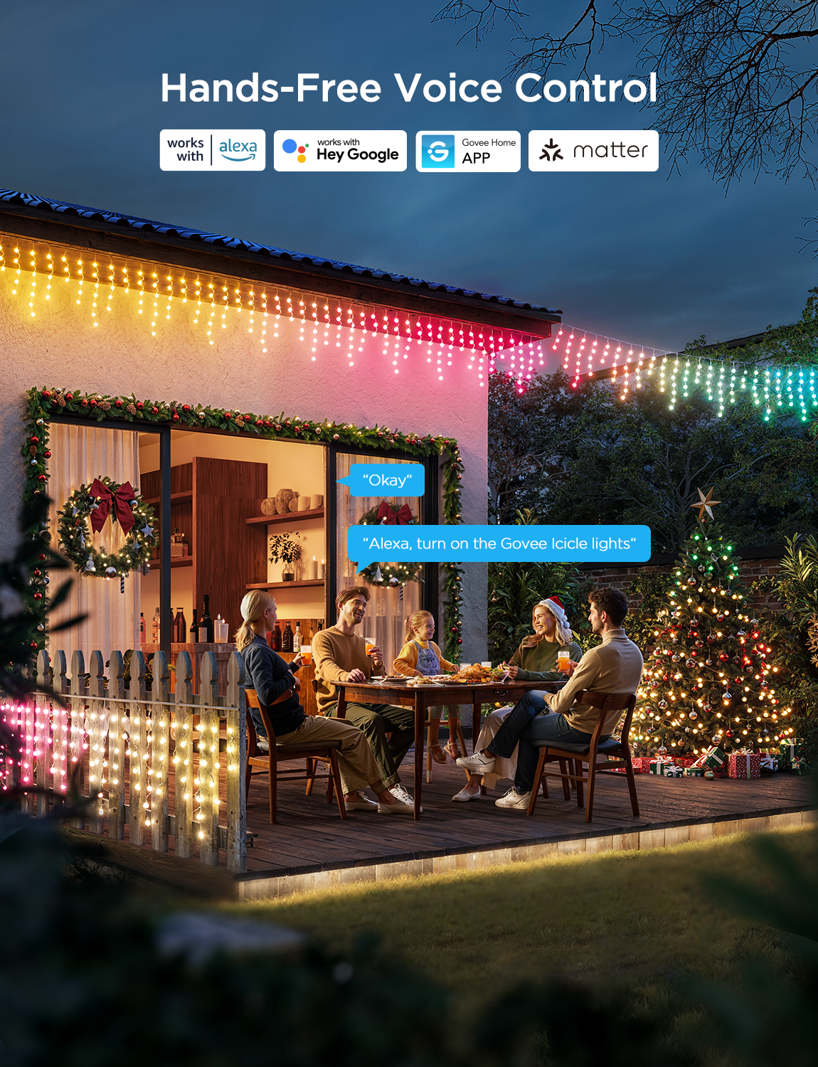 Govee Icicle Lights - 10M