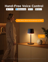Govee Table Lamp Classic S