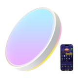 Govee 15-Inch RGBICWW Smart Ceiling Light Pro