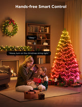 Govee Christmas String Lights 2 - 20M