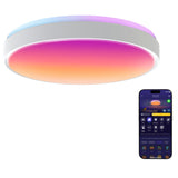 Govee 15-Inch RGBICWW Smart Ceiling Light Pro