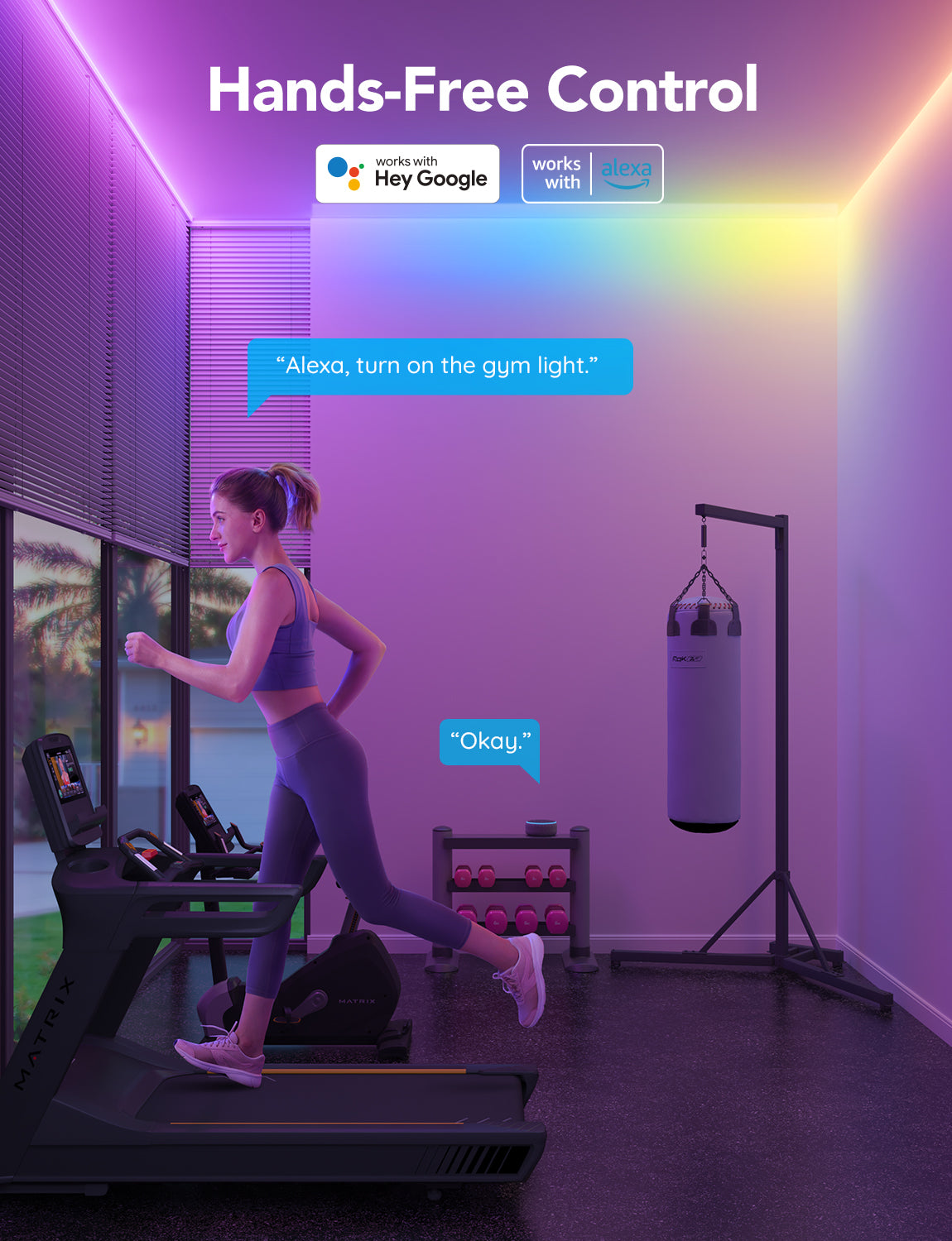 Govee led homekit deals