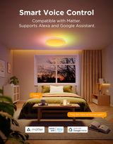 Govee 15-Inch RGBICWW Smart Ceiling Light Pro