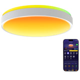Govee 15-Inch RGBICWW Smart Ceiling Light Pro