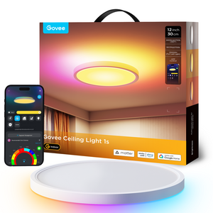 Govee Ceiling Light 1s