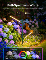 Govee Outdoor Garden Lights