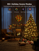 Govee Smart Christmas Lights - Works with Alexa, Indoor Outdoor Decor (10m / 20m)
